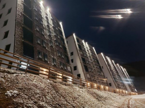 Apartment Holiday Ravna Planina
